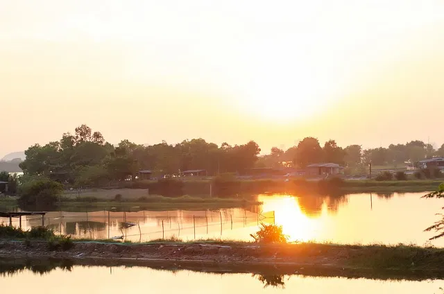 TEKNIK BUDIDAYA UDANG TAMBAK INTENSIF YANG BERKELANJUTAN